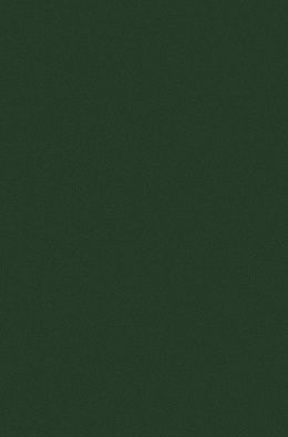 Ковровая Дорожка COLIZEY P000 GREEN